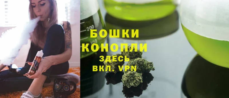 где можно купить   Медвежьегорск  Каннабис OG Kush 